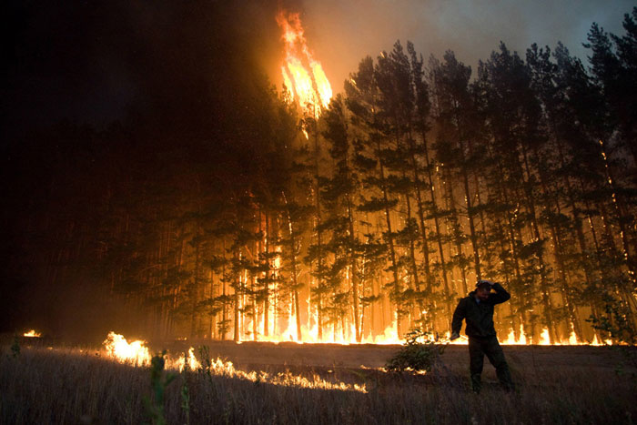 Запобігання лісовим пожежам